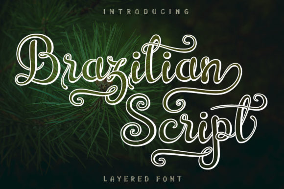 Brazilian Script Font: A Polished Touch for Real Business Branding