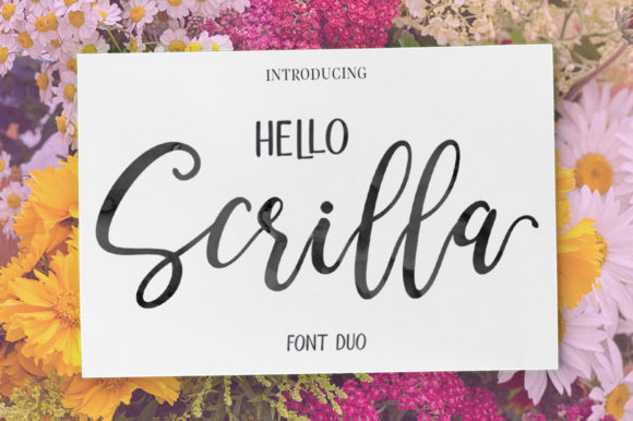 Hello Scrilla Script Font: A Modern Typeface for Business Branding