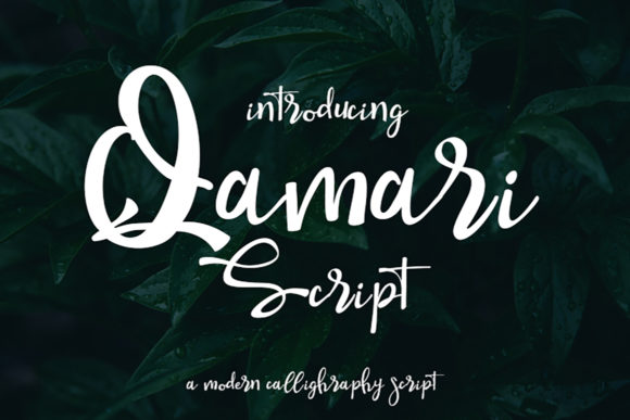Qamari Script: A Beautiful Typeface for Creative Makers